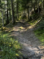 Dernières photos